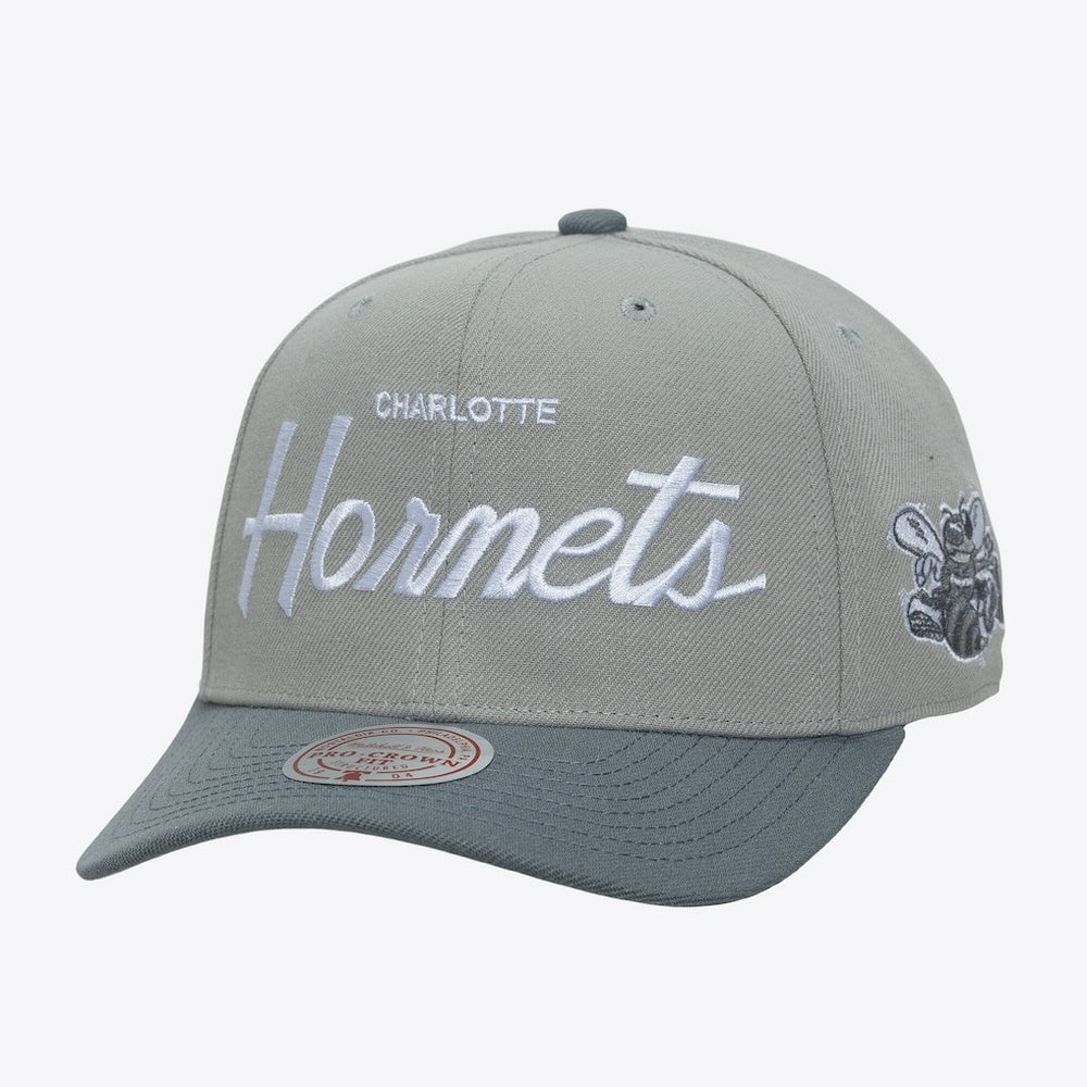 Mitchell & Ness Charlotte Hornets Thunderstorm Head Coach Pro Crown Snapback Hat Gray