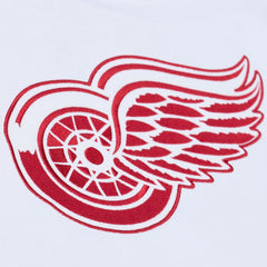 Detroit Red Wings Mitchell & Ness Arctic Fleece Hoodie - White | NHL near me