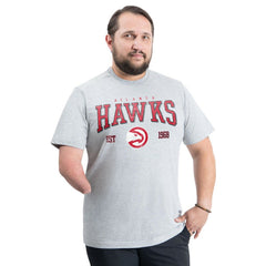 Atlanta Hawks G-III Sports by Carl Banks Adaptive Classic Team Spirit Short Sleeve T-Shirt Gray