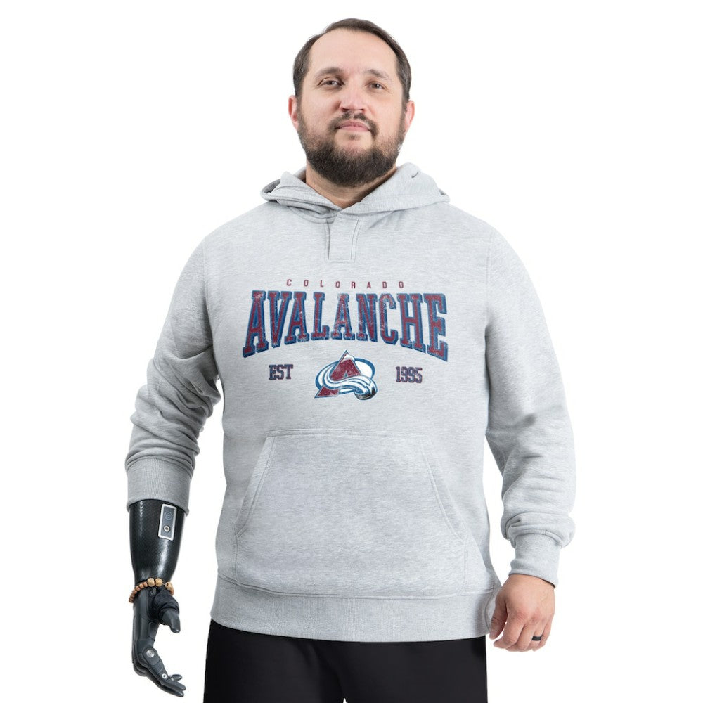 Colorado Avalanche G-III Sports by Carl Banks Adaptive Classic Team Spirit Fleece Hoodie - Gray | NHL on sale