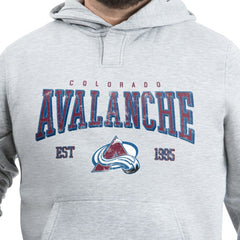 Colorado Avalanche G-III Sports by Carl Banks Adaptive Classic Team Spirit Fleece Hoodie - Gray | NHL on sale