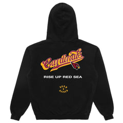 Arizona Cardinals Born x Raised Unisex Pro Script Hoodie - Black - NFL