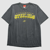 Pittsburgh Steelers Reebok 2000s T-Shirt - Gray Vintage - Fanatics