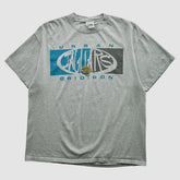 Jacksonville Jaguars Lee Apparel 2000s T-shirt - Heather Gray Vintage - Fanatics