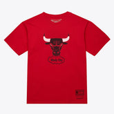 Mitchell & Ness Chicago Bulls Unisex Hardwood Classics Arch T-Shirt Red
