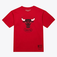 Mitchell & Ness Chicago Bulls Unisex Hardwood Classics Arch T-Shirt Red