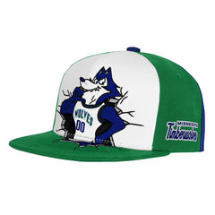 Mitchell & Ness Minnesota Timberwolves Youth Mascot Snapback Hat Green