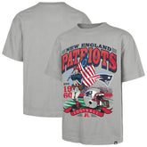 New England Patriots '47 Regional Foundation T-Shirt - Gray - 47 brand