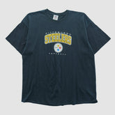 Pittsburgh Steelers NFL 2010s T-shirt - Black Vintage - Fanatics