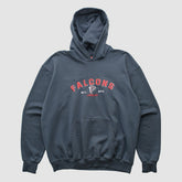 Atlanta Falcons NFL 2000s Hooded Pullover Sweatshirt - Black Vintage - Fanatics