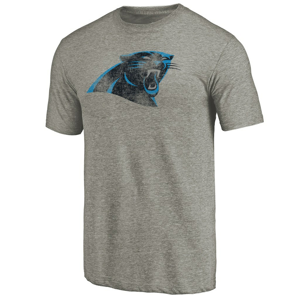 Carolina Panthers Distressed Team T-Shirt - Ash - NFL
