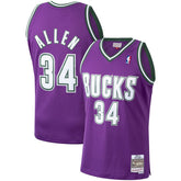 Mitchell & Ness Ray Allen Milwaukee Bucks 2000/01 Hardwood Classics Swingman Jersey Purple