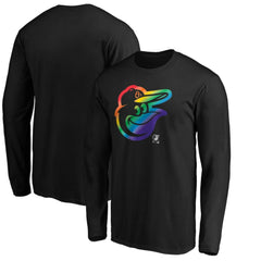 Baltimore Orioles Team Pride Logo Long Sleeve T-Shirt Near Me