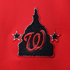 Washington Nationals Pro Standard Logo Pullover Hoodie for sale