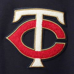 Minnesota Twins Pro Standard Team Logo Pullover Hoodie Outlet