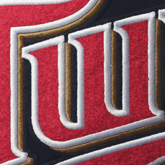 Minnesota Twins Pro Standard Team T-Shirt Near Me