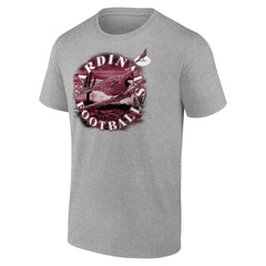 Arizona Cardinals Big & Tall Sporting Chance T-Shirt - Heathered Gray - Fanatics