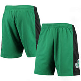 Mitchell & Ness Boston Celtics 2007 Hardwood Classics 75th Anniversary Swingman Shorts Kelly Green