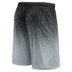 Las Vegas Raiders Ombre Shorts - Black/Silver - Fanatics