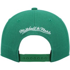 Mitchell & Ness Boston Celtics Hardwood Classics Team Ground 2.0 Snapback Hat Kelly Green