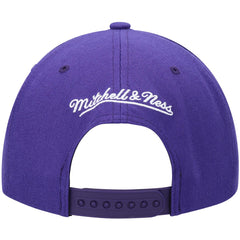 Mitchell & Ness Phoenix Suns Hardwood Classics Team Ground 2.0 Snapback Hat Purple