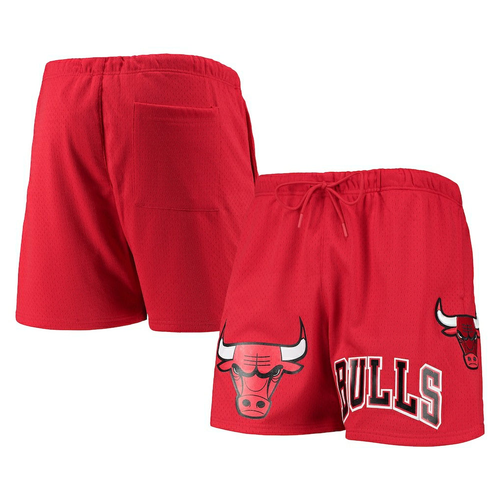 Chicago Bulls Pro Standard Mesh Capsule Shorts Red