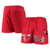 Chicago Bulls Pro Standard Mesh Capsule Shorts Red