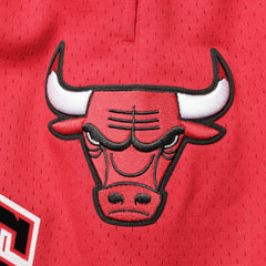 Chicago Bulls Pro Standard Mesh Capsule Shorts Red