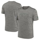 Green Bay Packers 2023 Sideline Alternate Logo Performance T-Shirt - Heather Charcoal - Nike