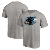 Carolina Panthers True Color T-Shirt - Heather Gray - NFL