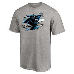 Carolina Panthers True Color T-Shirt - Heather Gray - NFL