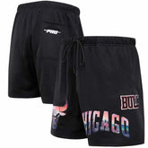 Chicago Bulls Pro Standard City Scape Mesh Shorts Black