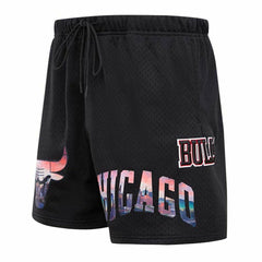 Chicago Bulls Pro Standard City Scape Mesh Shorts Black