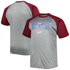 Colorado Avalanche Big & Tall Logo Raglan T-Shirt - Heather Gray | NHL discount