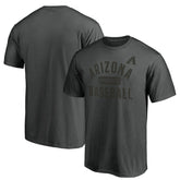 Arizona Diamondbacks Team Primary Pill T-Shirt Sale