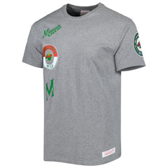 Minnesota Wild Mitchell & Ness City Collection T-Shirt - Heather Gray | NHL near me