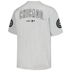 Chicago Cubs PLEASURES Team T-Shirt Discount