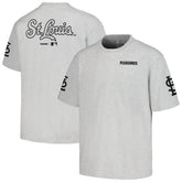St. Louis Cardinals PLEASURES Team T-Shirt Sale