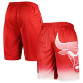 Fanatics Chicago Bulls Graphic Shorts Red