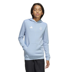 Adidas - 2025-26 Argentina Youth Anniversary DNA Soccer Hoodie
