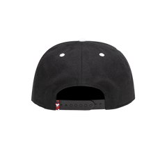 Fashion - Fan Ink Collection USA Bankroll Snapback Hat