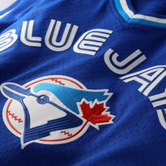 Joe Carter Toronto Blue Jays Mitchell & Ness Authentic Batting Practice Jersey Near Me