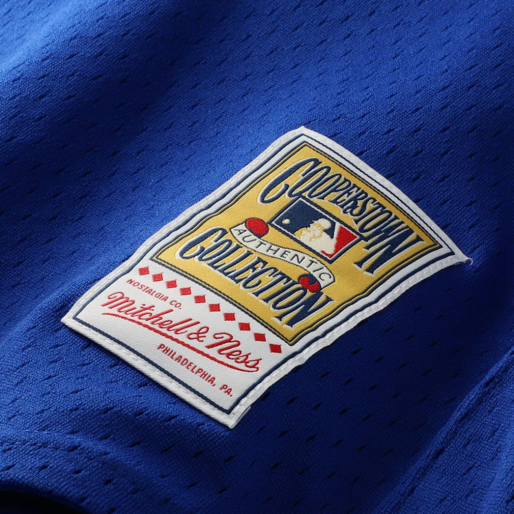Joe Carter Toronto Blue Jays Mitchell & Ness Authentic Batting Practice Jersey Near Me