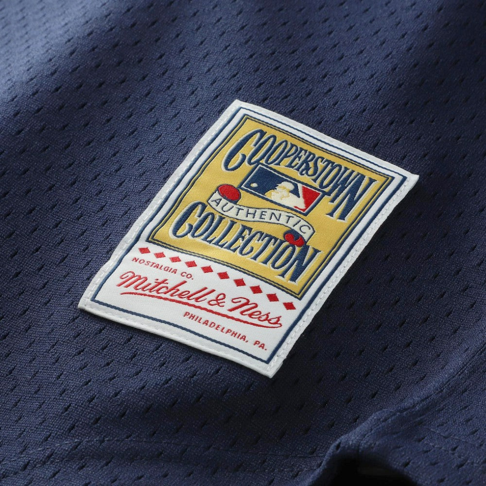 Kirby Puckett Minnesota Twins Mitchell & Ness Authentic Batting Practice Jersey Near Me