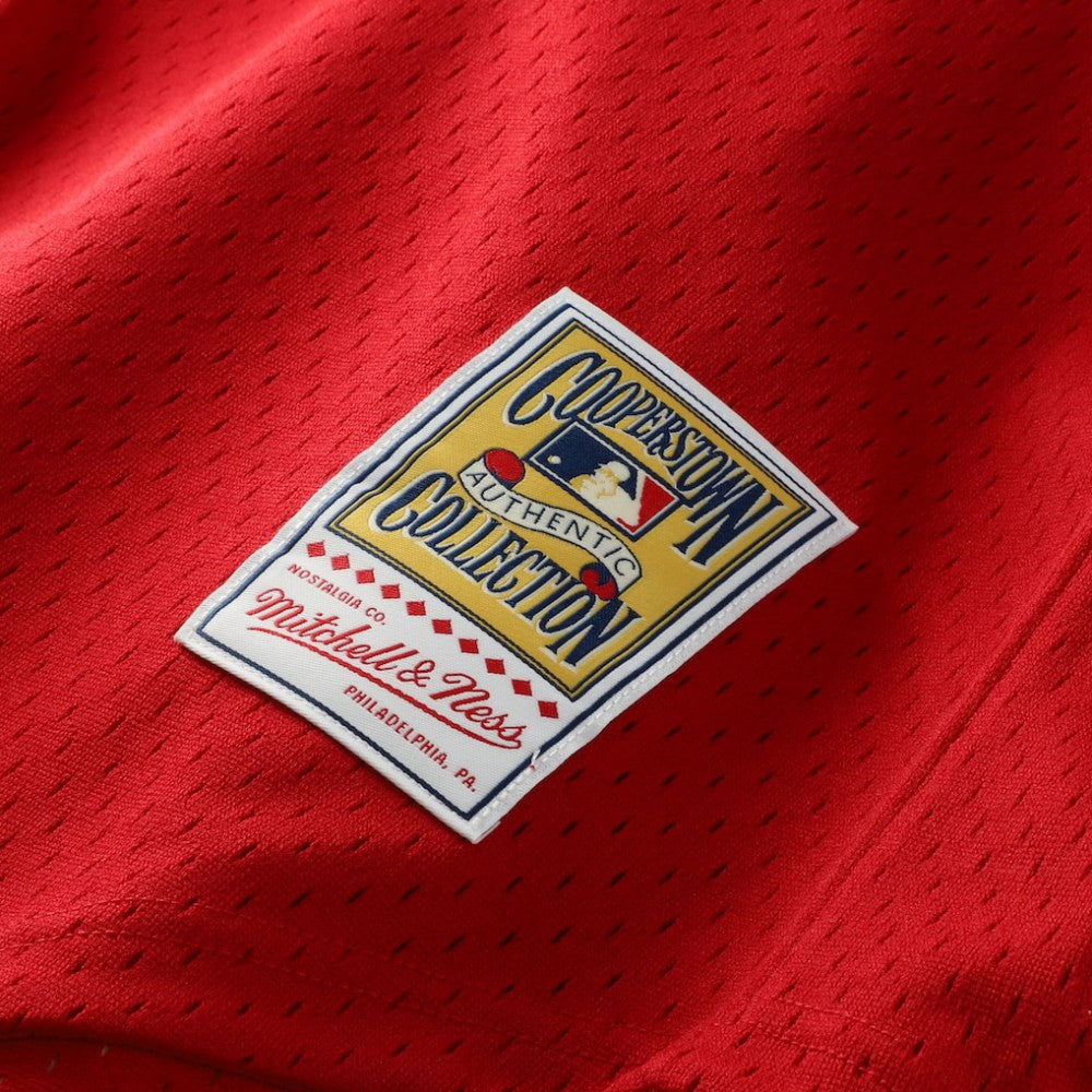 Ozzie Smith St. Louis Cardinals Mitchell & Ness Authentic Batting Practice Jersey for sale