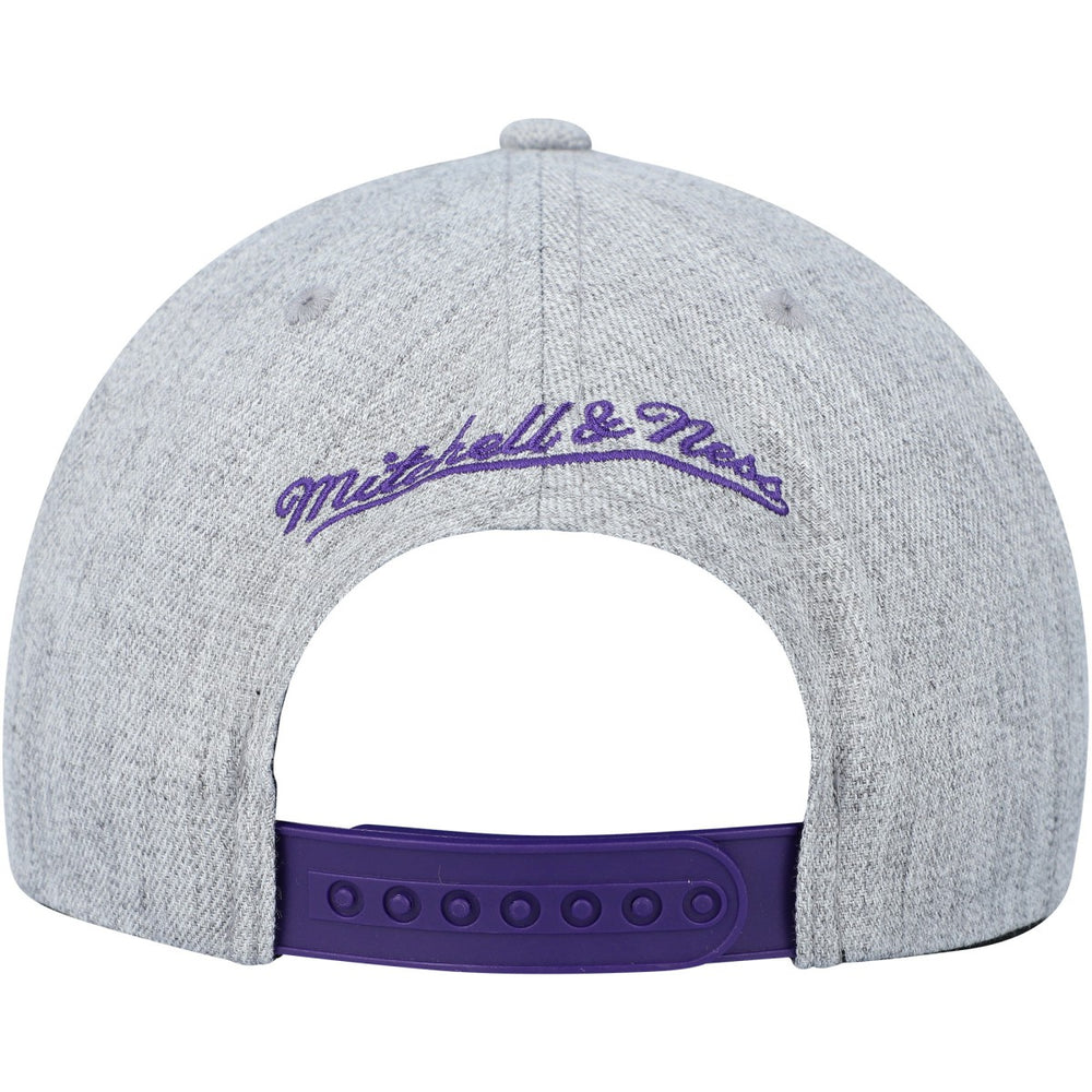 Mitchell & Ness Toronto Raptors Hardwood Classics 2.0 Snapback Hat Heather Gray