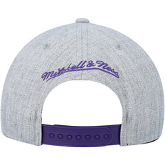 Mitchell & Ness Toronto Raptors Hardwood Classics 2.0 Snapback Hat Heather Gray