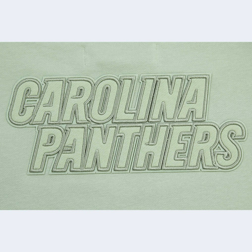 Carolina Panthers Pro Standard Women's Oversized Cropped Neutral Pullover Sweatshirt - Light Green - NFL