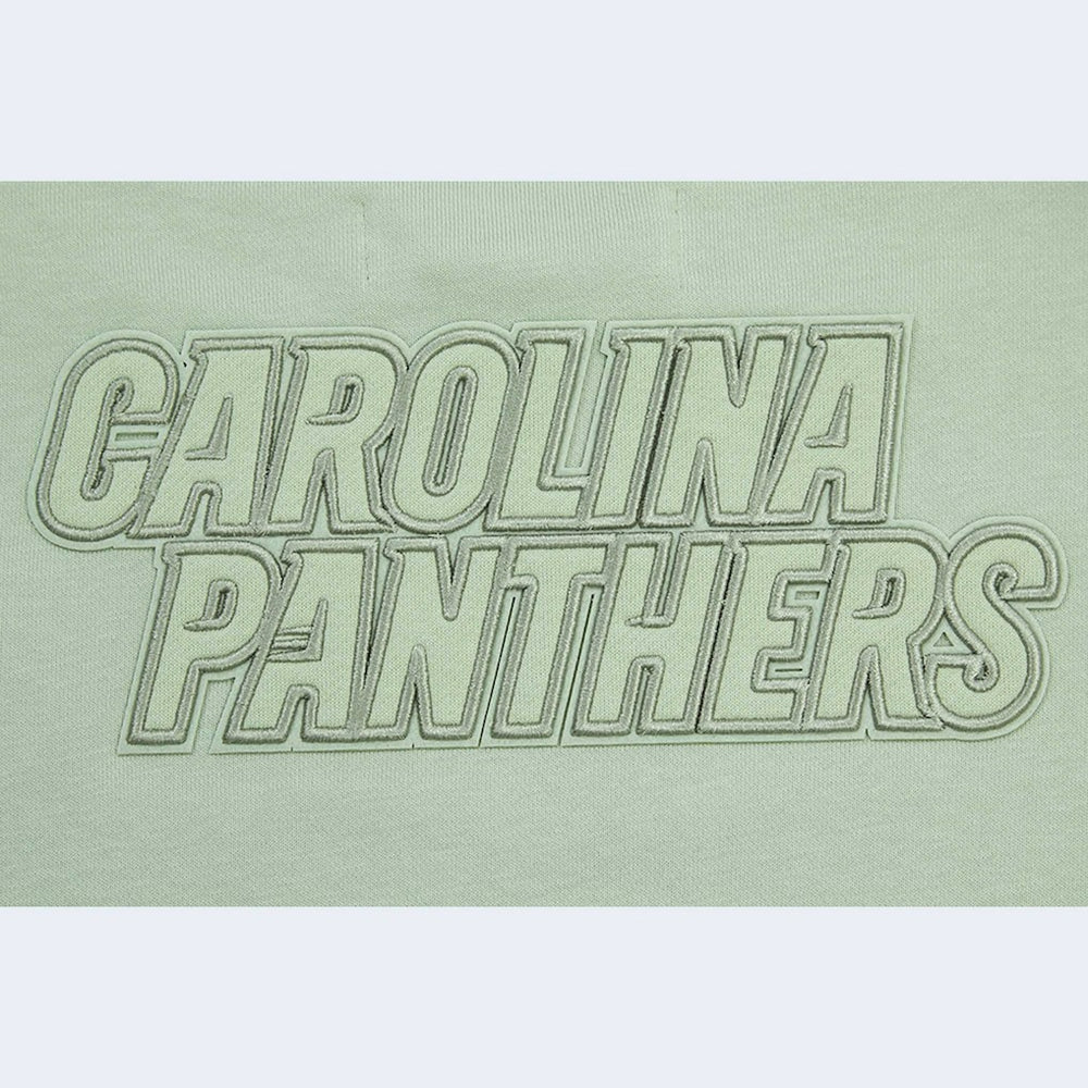 Carolina Panthers Pro Standard Women's Oversized Cropped Neutral Pullover Sweatshirt - Light Green - NFL