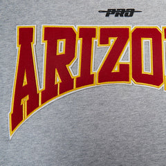 Arizona Cardinals Pro Standard Crest Emblem Pullover Sweatshirt - Heather Gray - NFL